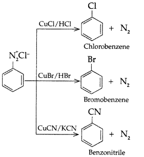 Important Questions for Class 12 Chemistry Chapter 10 Haloalkanes and Haloarenes Class 12 Important Questions 109