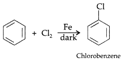 Important Questions for Class 12 Chemistry Chapter 10 Haloalkanes and Haloarenes Class 12 Important Questions 18