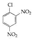 Important Questions for Class 12 Chemistry Chapter 10 Haloalkanes and Haloarenes Class 12 Important Questions 44