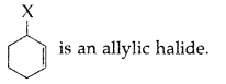Important Questions for Class 12 Chemistry Chapter 10 Haloalkanes and Haloarenes Class 12 Important Questions 46