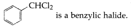 Important Questions for Class 12 Chemistry Chapter 10 Haloalkanes and Haloarenes Class 12 Important Questions 50