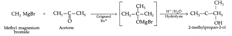 Important Questions for Class 12 Chemistry Chapter 10 Haloalkanes and Haloarenes Class 12 Important Questions 59