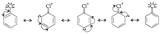 Important Questions for Class 12 Chemistry Chapter 10 Haloalkanes and Haloarenes Class 12 Important Questions 60
