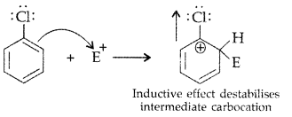 Important Questions for Class 12 Chemistry Chapter 10 Haloalkanes and Haloarenes Class 12 Important Questions 81