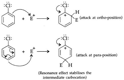 Important Questions for Class 12 Chemistry Chapter 10 Haloalkanes and Haloarenes Class 12 Important Questions 82