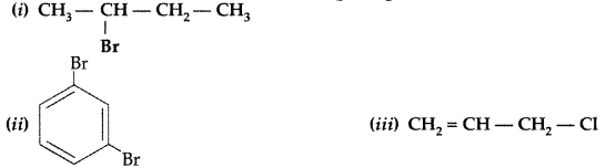 Important Questions for Class 12 Chemistry Chapter 10 Haloalkanes and Haloarenes Class 12 Important Questions 94