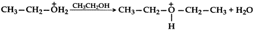 Important Questions for Class 12 Chemistry Chapter 11 Alcohols, Phenols and Ethers Class 12 Important Questions 101