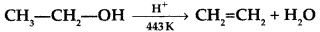 Important Questions for Class 12 Chemistry Chapter 11 Alcohols, Phenols and Ethers Class 12 Important Questions 48