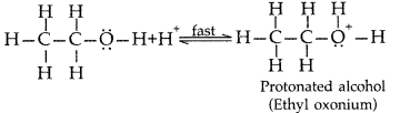 Important Questions for Class 12 Chemistry Chapter 11 Alcohols, Phenols and Ethers Class 12 Important Questions 49