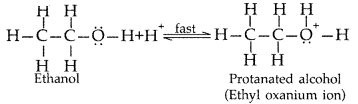 Important Questions for Class 12 Chemistry Chapter 11 Alcohols, Phenols and Ethers Class 12 Important Questions 55