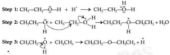 Important Questions for Class 12 Chemistry Chapter 11 Alcohols, Phenols and Ethers Class 12 Important Questions 58