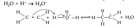 Important Questions for Class 12 Chemistry Chapter 11 Alcohols, Phenols and Ethers Class 12 Important Questions 64