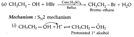 Important Questions for Class 12 Chemistry Chapter 11 Alcohols, Phenols and Ethers Class 12 Important Questions 75