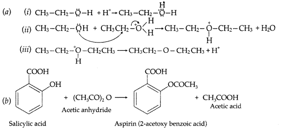 Important Questions for Class 12 Chemistry Chapter 11 Alcohols, Phenols and Ethers Class 12 Important Questions 80