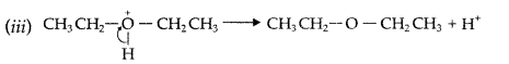 Important Questions for Class 12 Chemistry Chapter 11 Alcohols, Phenols and Ethers Class 12 Important Questions 96