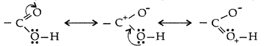 Important Questions for Class 12 Chemistry Chapter 12 Aldehydes, Ketones and Carboxylic Acids Class 12 Important Questions 16