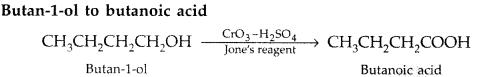 Important Questions for Class 12 Chemistry Chapter 12 Aldehydes, Ketones and Carboxylic Acids Class 12 Important Questions 178