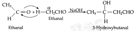 Important Questions for Class 12 Chemistry Chapter 12 Aldehydes, Ketones and Carboxylic Acids Class 12 Important Questions 181