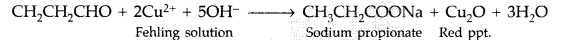 Important Questions for Class 12 Chemistry Chapter 12 Aldehydes, Ketones and Carboxylic Acids Class 12 Important Questions 48