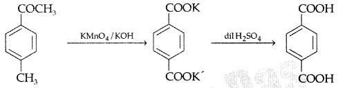 Important Questions for Class 12 Chemistry Chapter 12 Aldehydes, Ketones and Carboxylic Acids Class 12 Important Questions 80