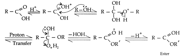 Important Questions for Class 12 Chemistry Chapter 12 Aldehydes, Ketones and Carboxylic Acids Class 12 Important Questions 86