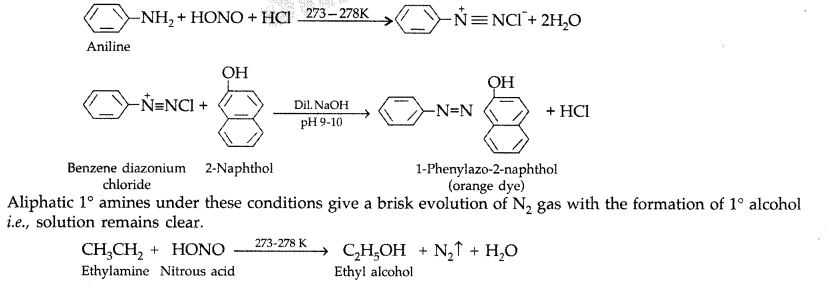 Important-Questions-for-Class-12-Chemistry-Chapter-13-Amines-Organic-Compounds-Containing-Nitrogen-Class-12-Important-Questions-1