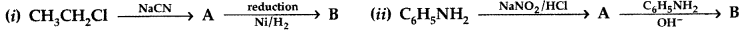 Important Questions for Class 12 Chemistry Chapter 13 Amines Organic Compounds Containing Nitrogen Class 12 Important Questions 10
