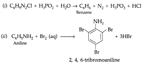 Important Questions for Class 12 Chemistry Chapter 13 Amines Organic Compounds Containing Nitrogen Class 12 Important Questions 16