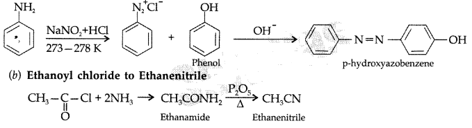 Important Questions for Class 12 Chemistry Chapter 13 Amines Organic Compounds Containing Nitrogen Class 12 Important Questions 18
