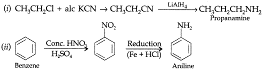 Important Questions for Class 12 Chemistry Chapter 13 Amines Organic Compounds Containing Nitrogen Class 12 Important Questions 19