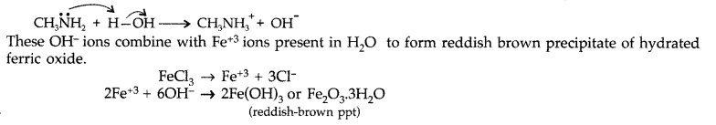 Important Questions for Class 12 Chemistry Chapter 13 Amines Organic Compounds Containing Nitrogen Class 12 Important Questions 20