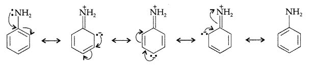 Important Questions for Class 12 Chemistry Chapter 13 Amines Organic Compounds Containing Nitrogen Class 12 Important Questions 21