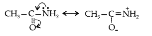 Important Questions for Class 12 Chemistry Chapter 13 Amines Organic Compounds Containing Nitrogen Class 12 Important Questions 22
