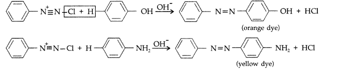 Important Questions for Class 12 Chemistry Chapter 13 Amines Organic Compounds Containing Nitrogen Class 12 Important Questions 24