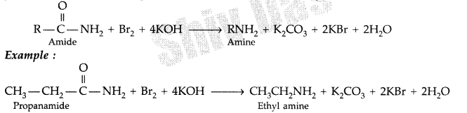 Important Questions for Class 12 Chemistry Chapter 13 Amines Organic Compounds Containing Nitrogen Class 12 Important Questions 30