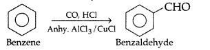 Important Questions for Class 12 Chemistry Chapter 13 Amines Organic Compounds Containing Nitrogen Class 12 Important Questions 31