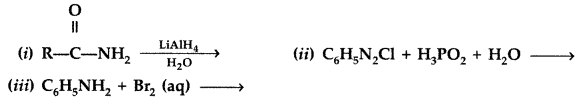 Important Questions for Class 12 Chemistry Chapter 13 Amines Organic Compounds Containing Nitrogen Class 12 Important Questions 34