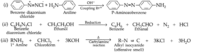 Important Questions for Class 12 Chemistry Chapter 13 Amines Organic Compounds Containing Nitrogen Class 12 Important Questions 39