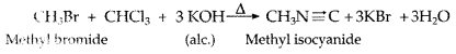 Important Questions for Class 12 Chemistry Chapter 13 Amines Organic Compounds Containing Nitrogen Class 12 Important Questions 4