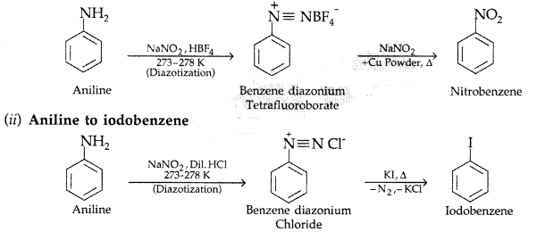 Important Questions for Class 12 Chemistry Chapter 13 Amines Organic Compounds Containing Nitrogen Class 12 Important Questions 40