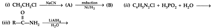 Important Questions for Class 12 Chemistry Chapter 13 Amines Organic Compounds Containing Nitrogen Class 12 Important Questions 41