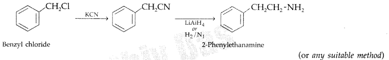 Important Questions for Class 12 Chemistry Chapter 13 Amines Organic Compounds Containing Nitrogen Class 12 Important Questions 44