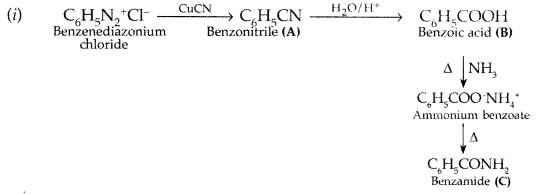 Important Questions for Class 12 Chemistry Chapter 13 Amines Organic Compounds Containing Nitrogen Class 12 Important Questions 47