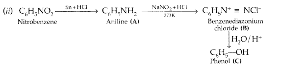 Important Questions for Class 12 Chemistry Chapter 13 Amines Organic Compounds Containing Nitrogen Class 12 Important Questions 48