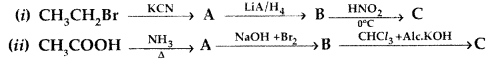 Important Questions for Class 12 Chemistry Chapter 13 Amines Organic Compounds Containing Nitrogen Class 12 Important Questions 49
