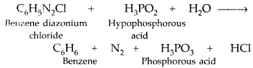 Important Questions for Class 12 Chemistry Chapter 13 Amines Organic Compounds Containing Nitrogen Class 12 Important Questions 5
