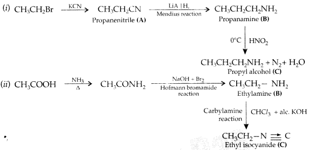 Important Questions for Class 12 Chemistry Chapter 13 Amines Organic Compounds Containing Nitrogen Class 12 Important Questions 50