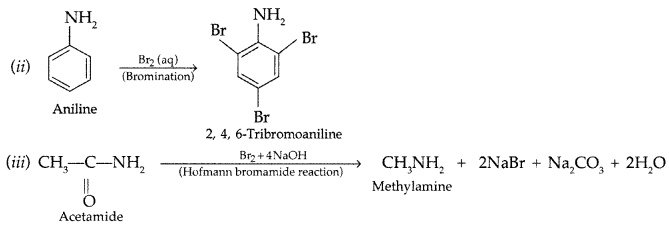 Important Questions for Class 12 Chemistry Chapter 13 Amines Organic Compounds Containing Nitrogen Class 12 Important Questions 55