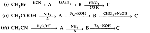 Important Questions for Class 12 Chemistry Chapter 13 Amines Organic Compounds Containing Nitrogen Class 12 Important Questions 56