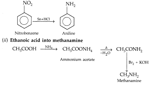 Important Questions for Class 12 Chemistry Chapter 13 Amines Organic Compounds Containing Nitrogen Class 12 Important Questions 58